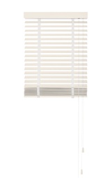 Basswood Standard 50mm, Schelpwit